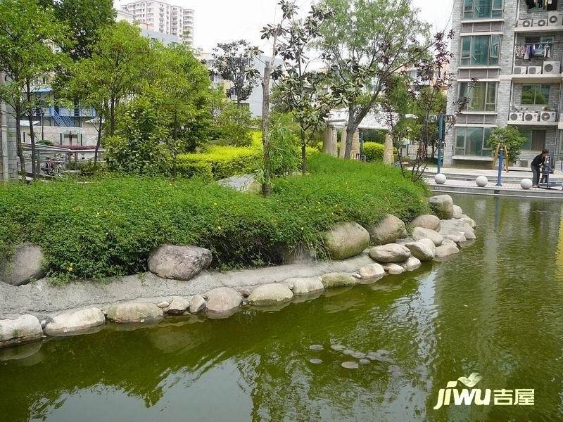 阳光星期八实景图图片