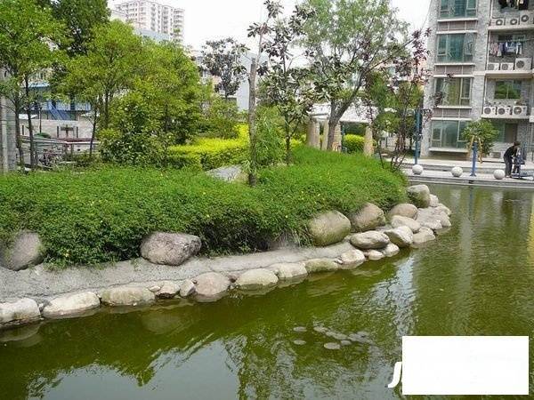 阳光星期八实景图图片