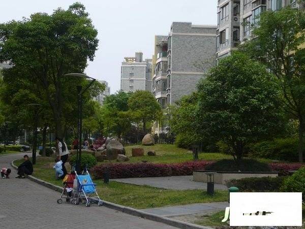 阳光星期八实景图图片