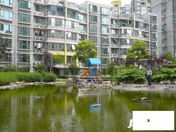 阳光星期八实景图图片