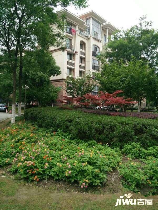 丽都城实景图图片
