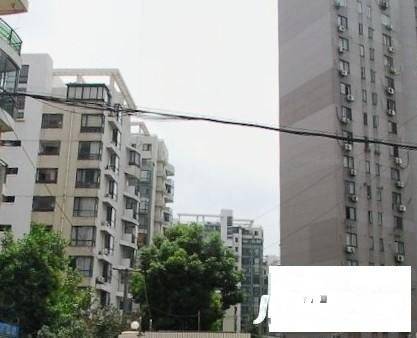 龙柏易居实景图图片