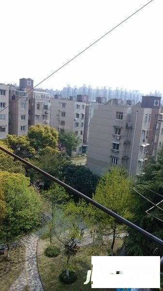常兴家园实景图图片