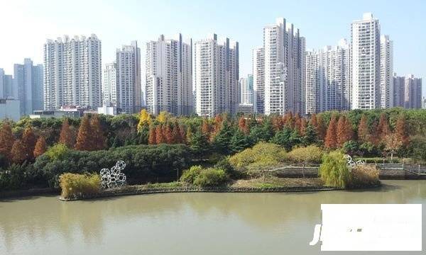 中远两湾城四期实景图图片