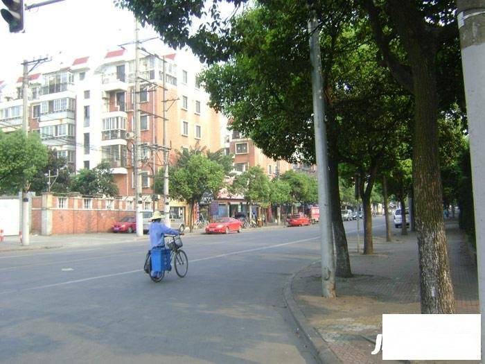 丹桂花园南苑实景图图片