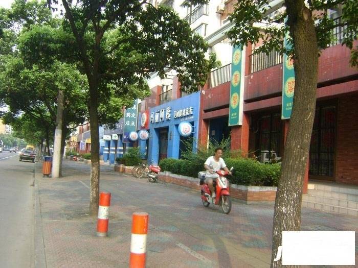 丹桂花园南苑实景图图片