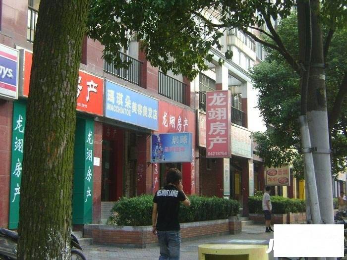 丹桂花园南苑实景图图片