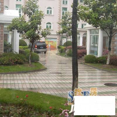 紫京苑实景图图片