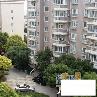 紫京苑实景图图片