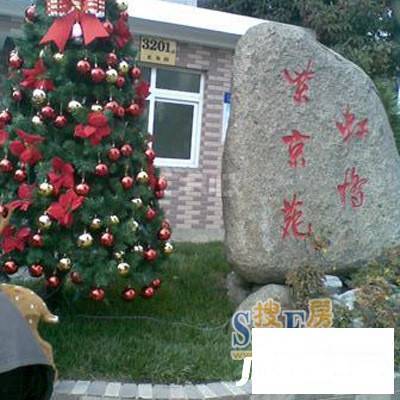 紫京苑实景图图片