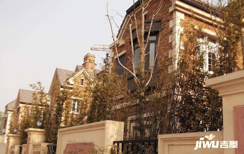 绿地梧桐院别墅实景图图片