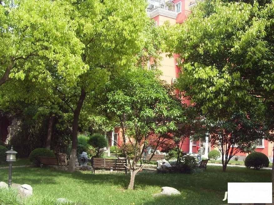 南洋绿都实景图图片