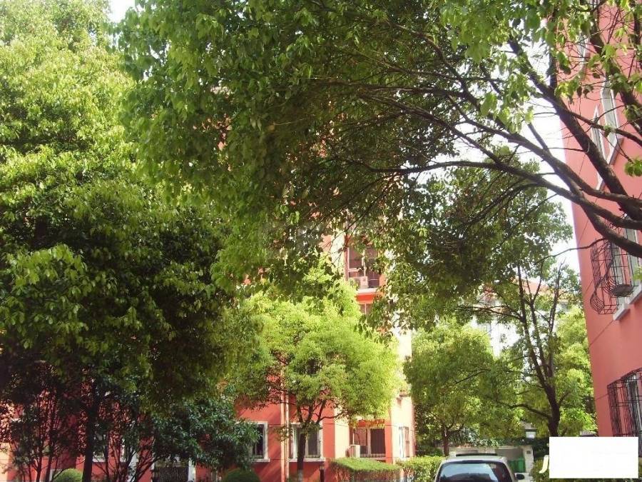 南洋绿都实景图图片