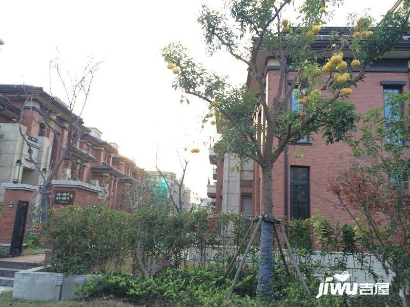 浦江颐城一期实景图图片