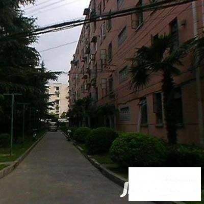 中华东波实景图图片