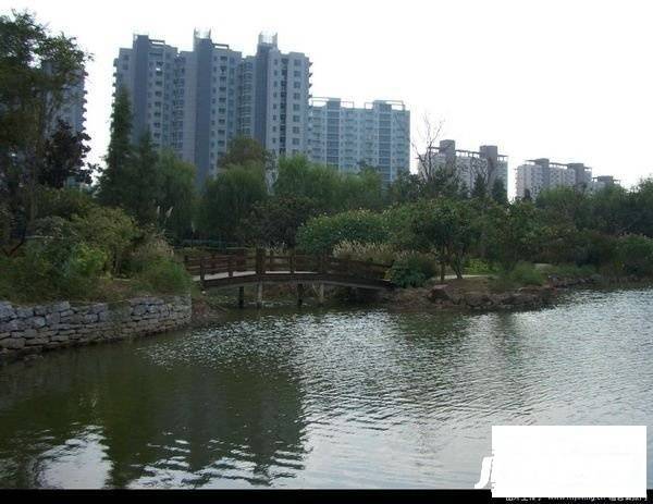 皇朝国际公寓实景图图片