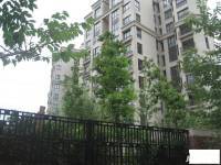 华润置地橡树湾实景图4