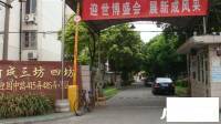 新成三坊四坊实景图7