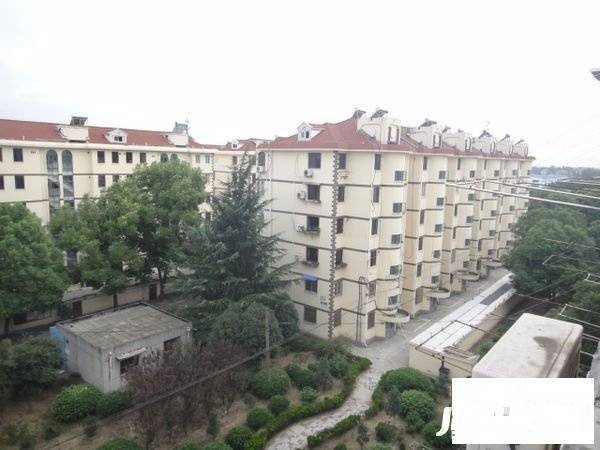 鸿宝一村(南区)实景图图片