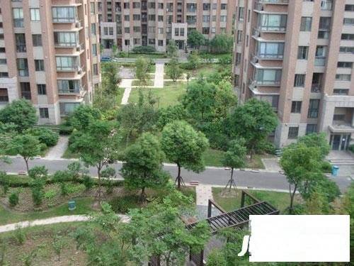 证大家园实景图图片