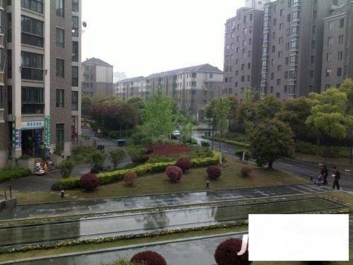 证大家园实景图图片
