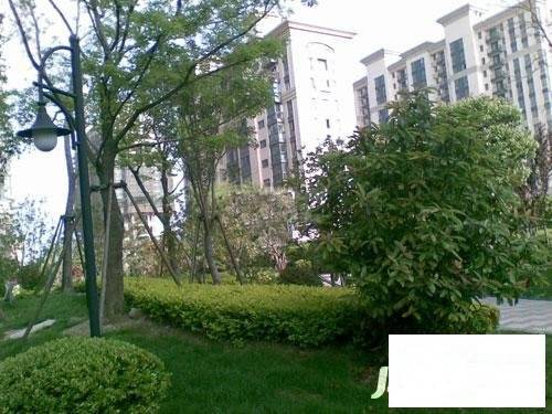 证大家园实景图图片