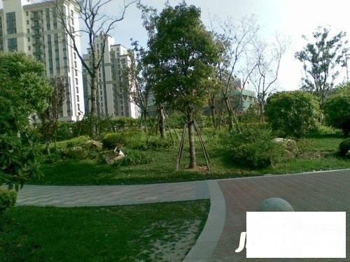 证大家园实景图图片