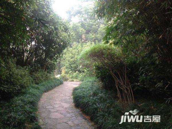 幸福小镇实景图图片