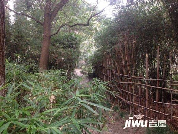 幸福小镇实景图图片