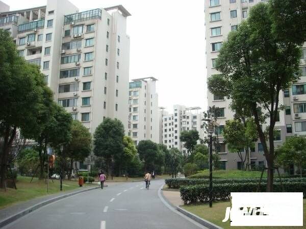 陆家嘴花园实景图图片