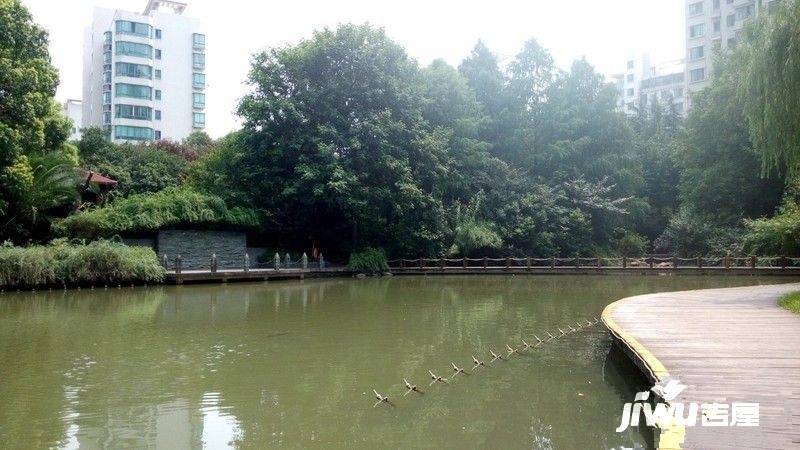 陆家嘴峰会实景图图片