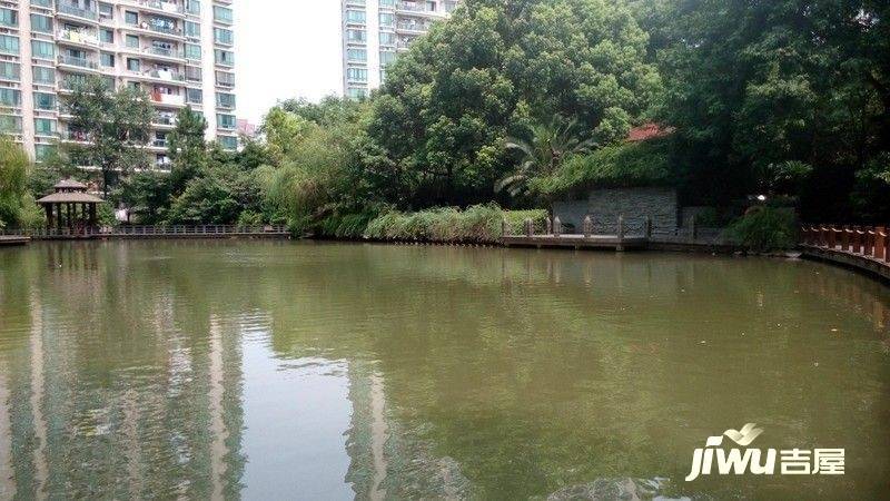 陆家嘴峰会实景图图片