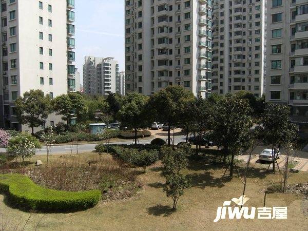 陆家嘴峰会实景图图片