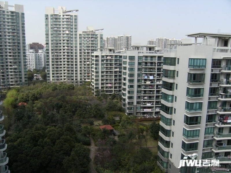 陆家嘴峰会实景图图片