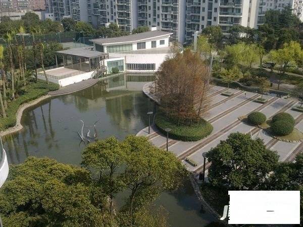 第五大道东方中华园实景图图片
