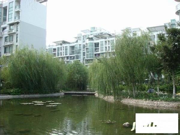 第五大道东方中华园实景图图片