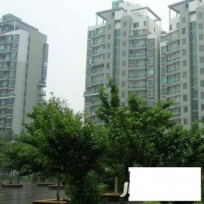 第五大道东方中华园实景图图片