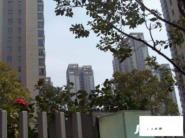 仁恒河滨城二期实景图图片