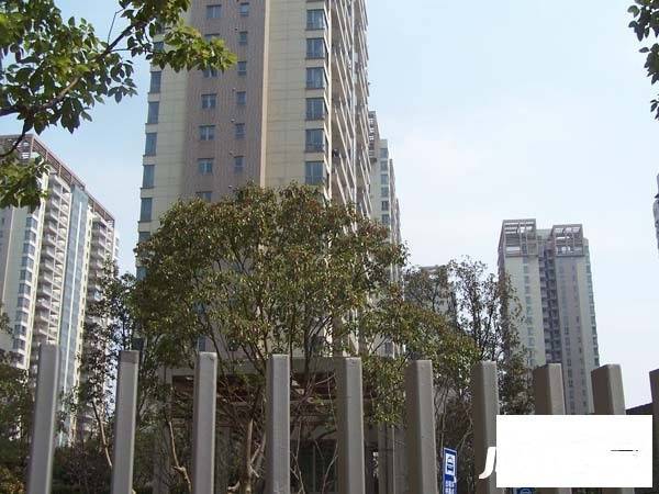 仁恒河滨城二期实景图图片