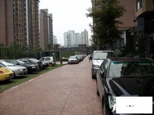 广洋苑一期实景图图片