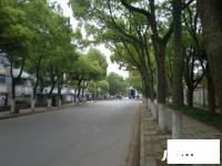 东海农场实景图8