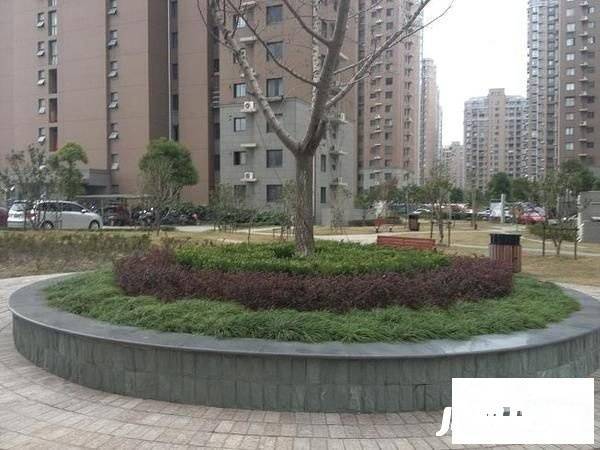 地杰国际城三期实景图图片