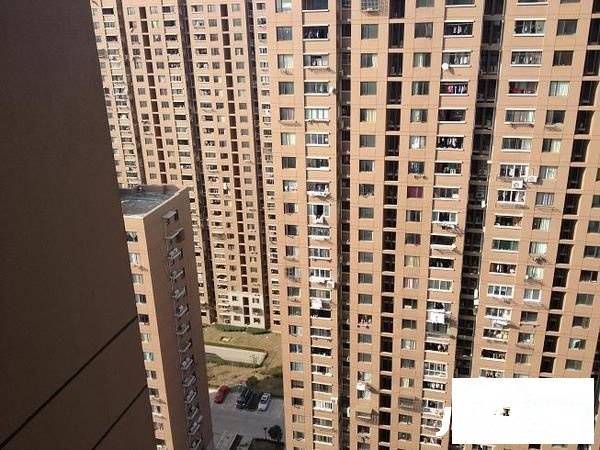 地杰国际城三期实景图图片