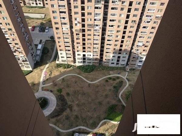 地杰国际城三期实景图图片