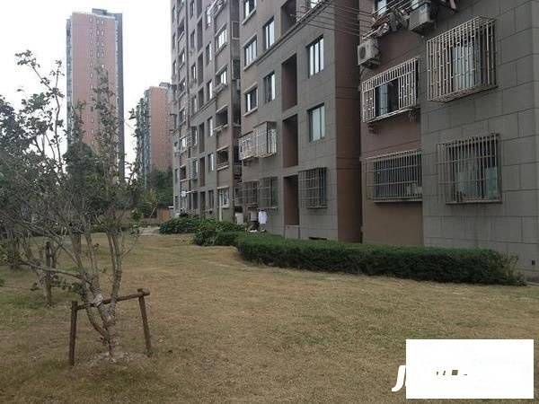 地杰国际城三期实景图图片