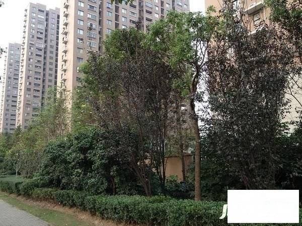 地杰国际城三期实景图图片