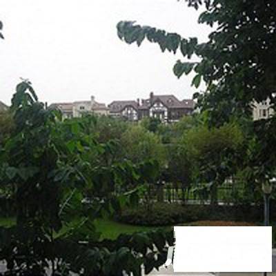 汤臣高尔夫公寓实景图图片