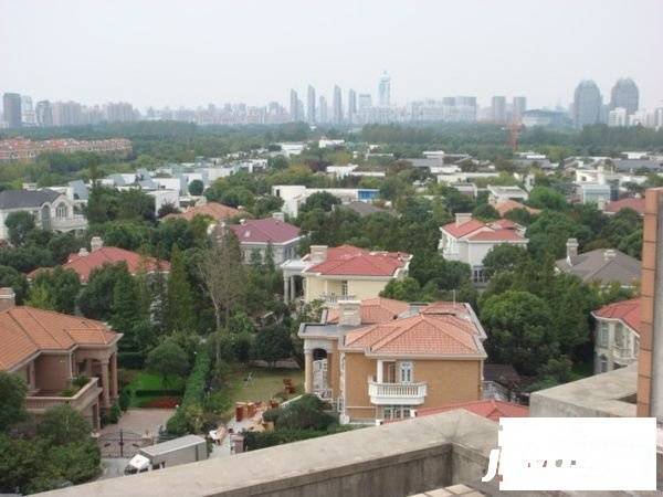 金色维也纳实景图图片
