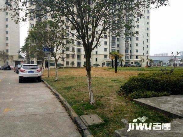 东升家园实景图图片