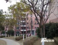 浦发绿城2801弄小区实景图图片